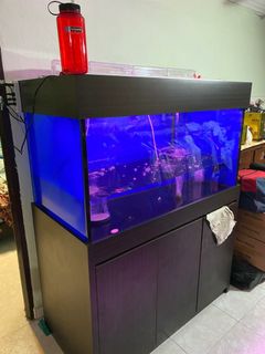 (Category: ) located in . Submitted by pavitragopal (Listing ID 1070992106, Image 1). Description: .