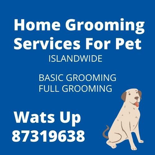 (Category: ) located in . Submitted by snipnpalm (Listing ID 1070991546, Image 1). Description: .