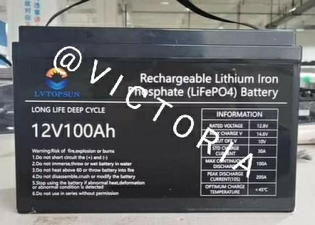 Lifepo4  100ah 12v/24v (Lithium battery)