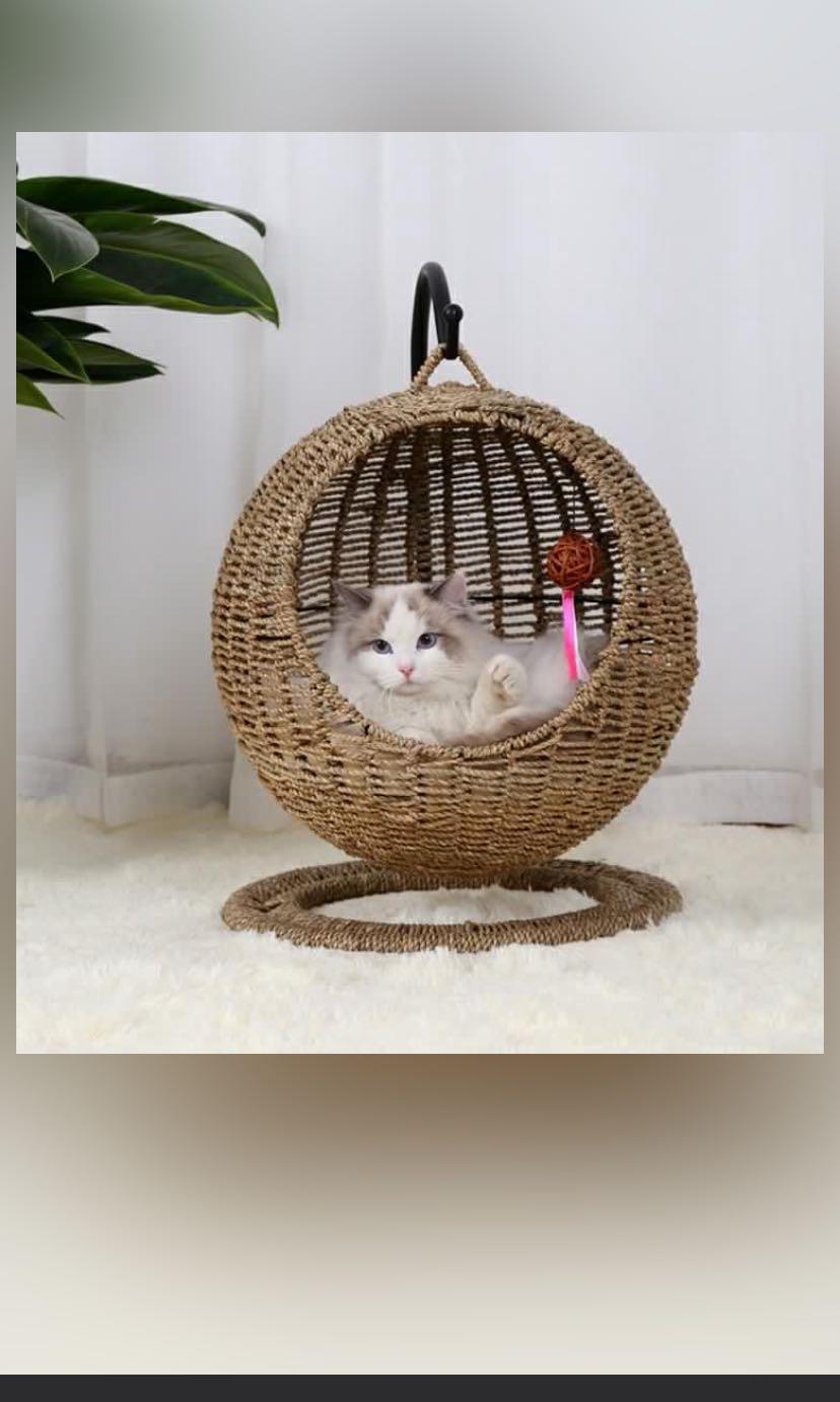 cat wicker house