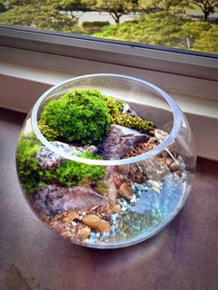 (Category: ) located in . Submitted by green_canopy_ideas (Listing ID 1070980302, Image 1). Description: .