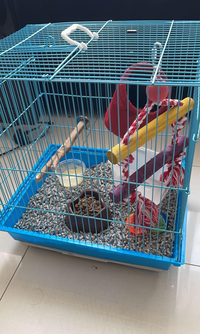 accessories sugar glider