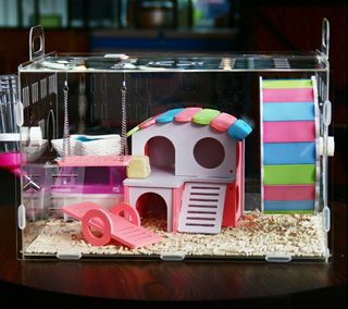 (Category: ) located in . Submitted by mummybliss (Listing ID 1071145548, Image 1). Description: .