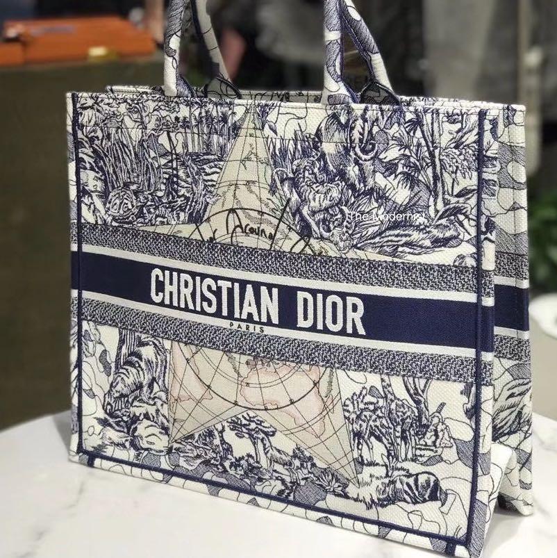 Authentic Christian Dior Around The World Book Tote Luxury Bags Wallets On Carousell