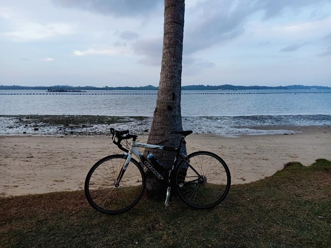 Giant Ocr 3 Bicycles Pmds Bicycles Road Bikes On Carousell