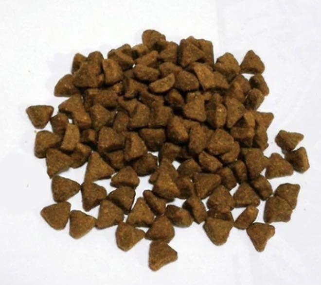 Nutra nuggets cat food online