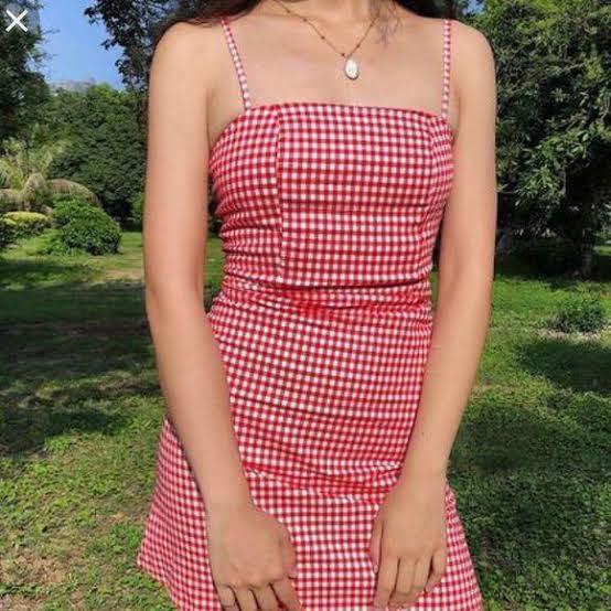 brandy gingham dress