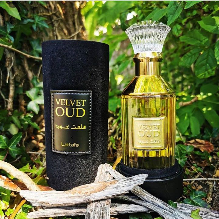 Rihanah velvet oud top