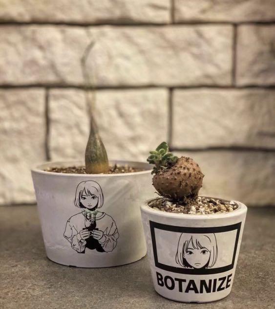 BOTANIZE×backsideworks Mサイズ BOTANIZE (ボタナイズ) 鉢セット 4点