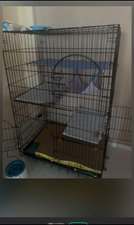(Category: ) located in . Submitted by snhda (Listing ID 1071317478, Image 1). Description: .
