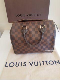 Authentic Louis Vuitton Speedy 25 LV Damier Ebene Bag Tote handbag, excellent condition