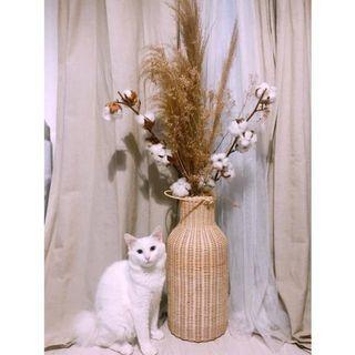 Rattan pampas vase