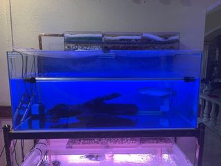 (Category: ) located in . Submitted by subie14 (Listing ID 1071655199, Image 1). Description: .