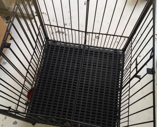 (Category: ) located in . Submitted by iregal (Listing ID 1071535128, Image 1). Description: .