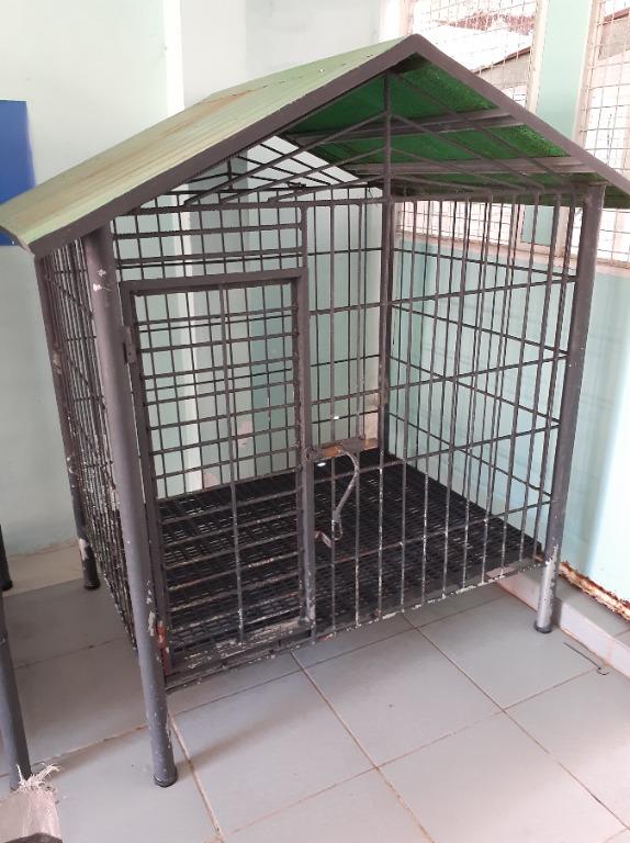 2nd hand dog crate outlet