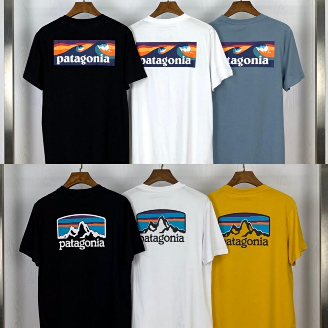 Patagonia tee, 男裝, 上身及套裝, T-shirt、恤衫、有領衫- Carousell