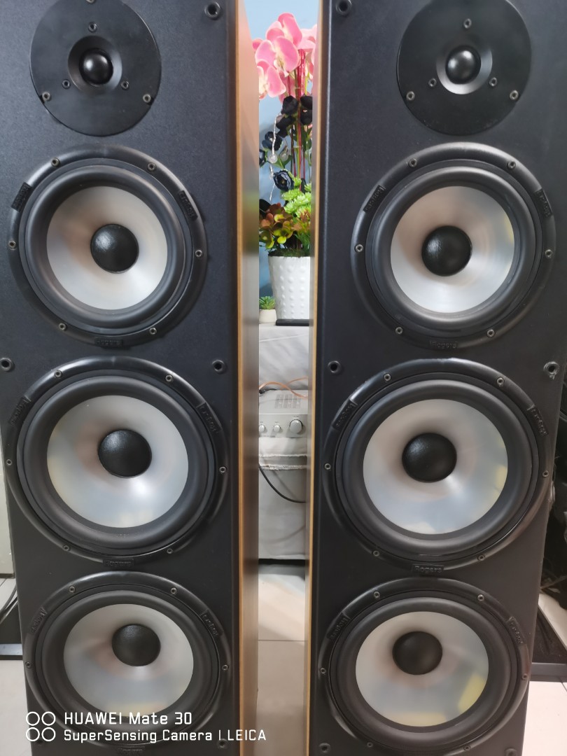 Rogers floor store standing speakers