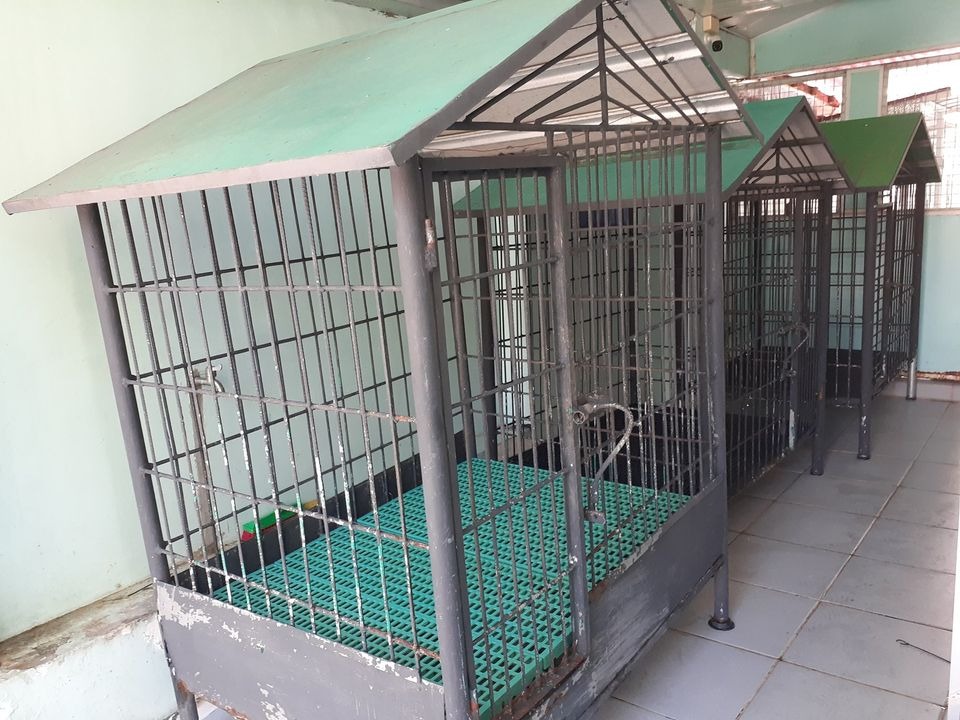 FOR SALE VERY LARGE Heavy Duty Dog Cage 4x3x4 feet Price
