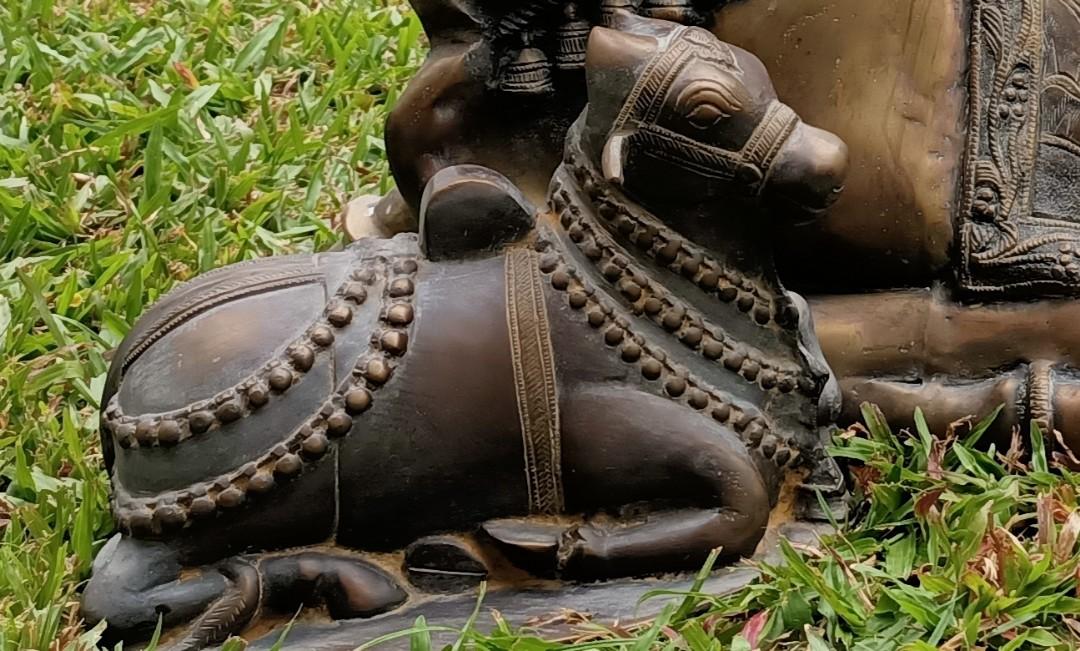 Bronze Nandi Statute, Hobbies & Toys, Memorabilia & Collectibles, Religious Items on Carousell