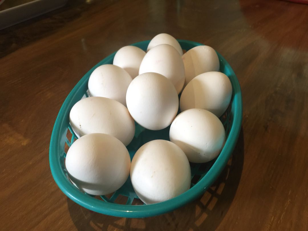 Ikea Serving Basket, Furniture & Home Living, Home Improvement