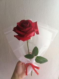 Single Stalk Rose bouquet