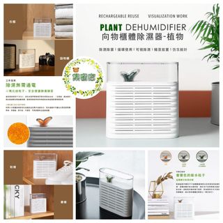 （分類：）位於 。 由 bearsweetgarden 提交（商品編號 1072047839，圖片 1）。簡介： 。