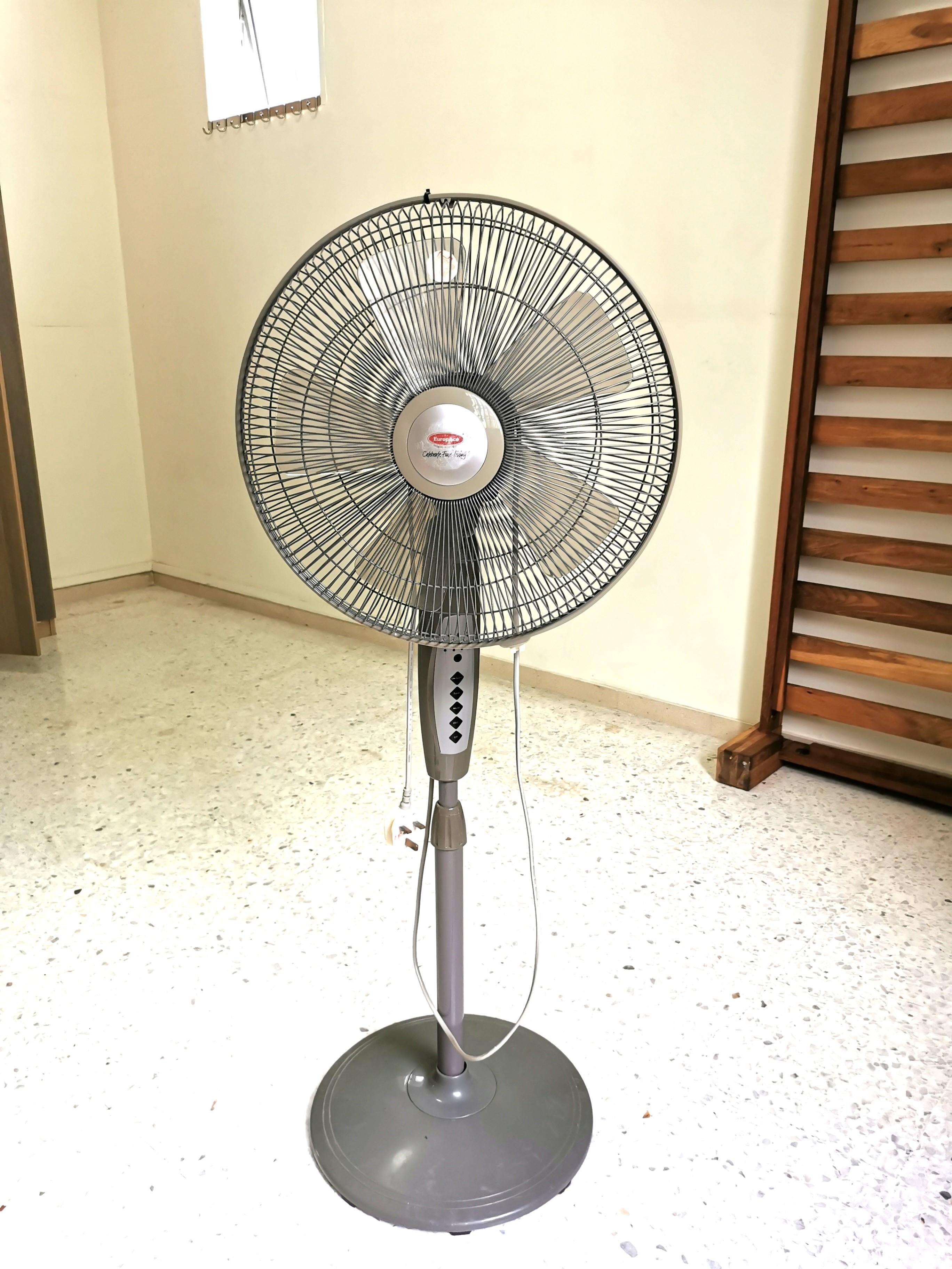 EuropAce Standing Fan, Home Appliances, Cooling & Air Care on Carousell