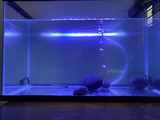 (Category: ) located in . Submitted by jepoy005 (Listing ID 1072072829, Image 1). Description: .