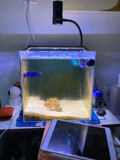 (Category: ) located in . Submitted by ariclimyd (Listing ID 1071910277, Image 1). Description: .