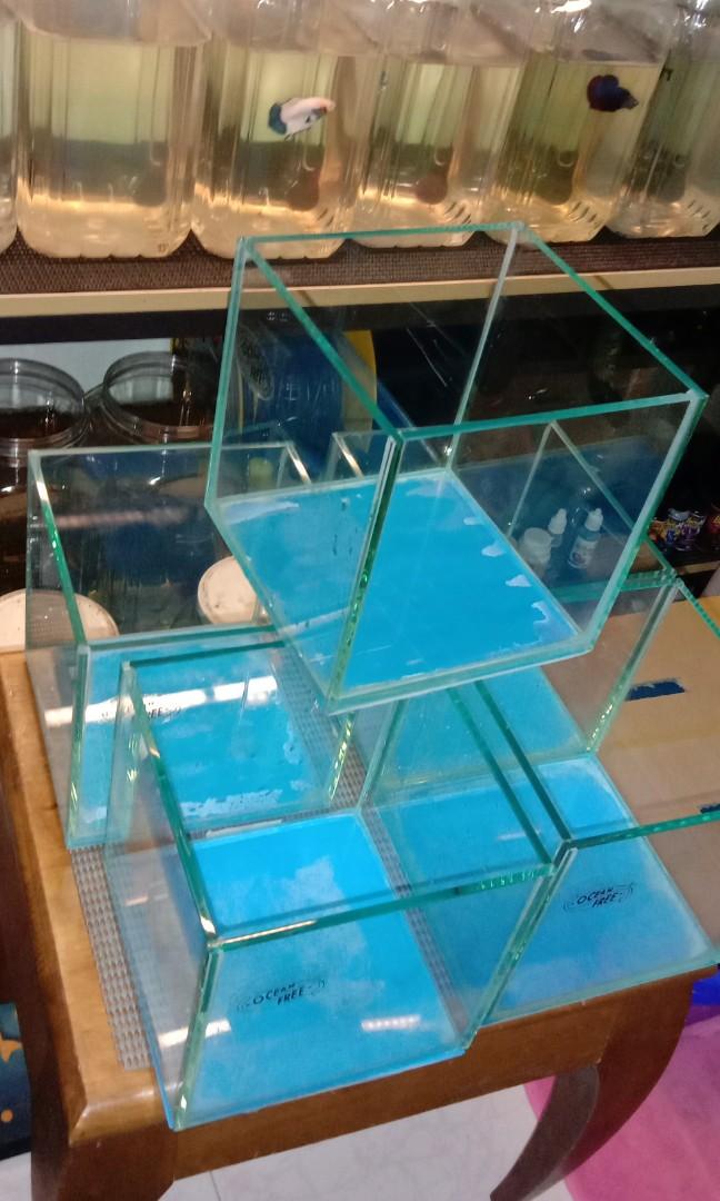 betta tank 15x15x15 pet supplies