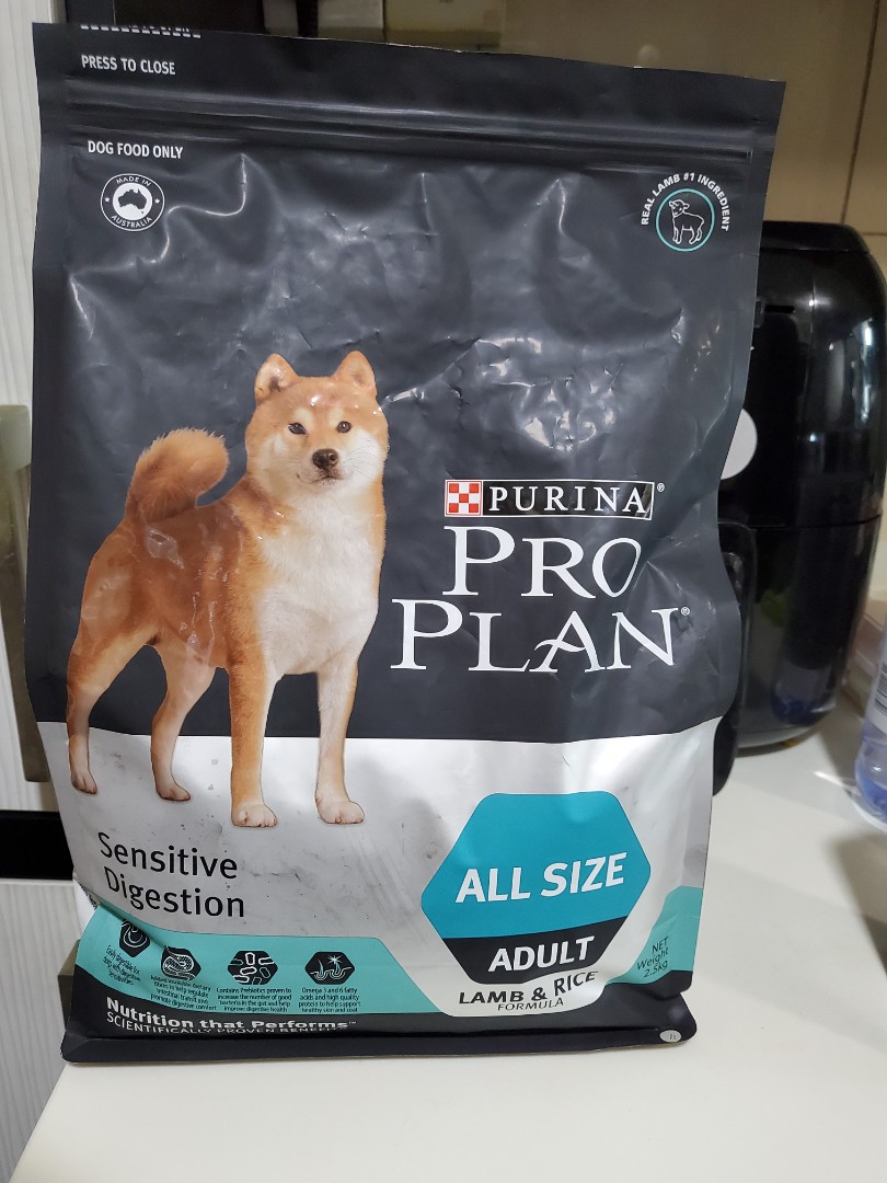 Shiba inu purina top