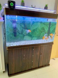 (Category: ) located in . Submitted by preeti0707 (Listing ID 1072277344, Image 1). Description: .