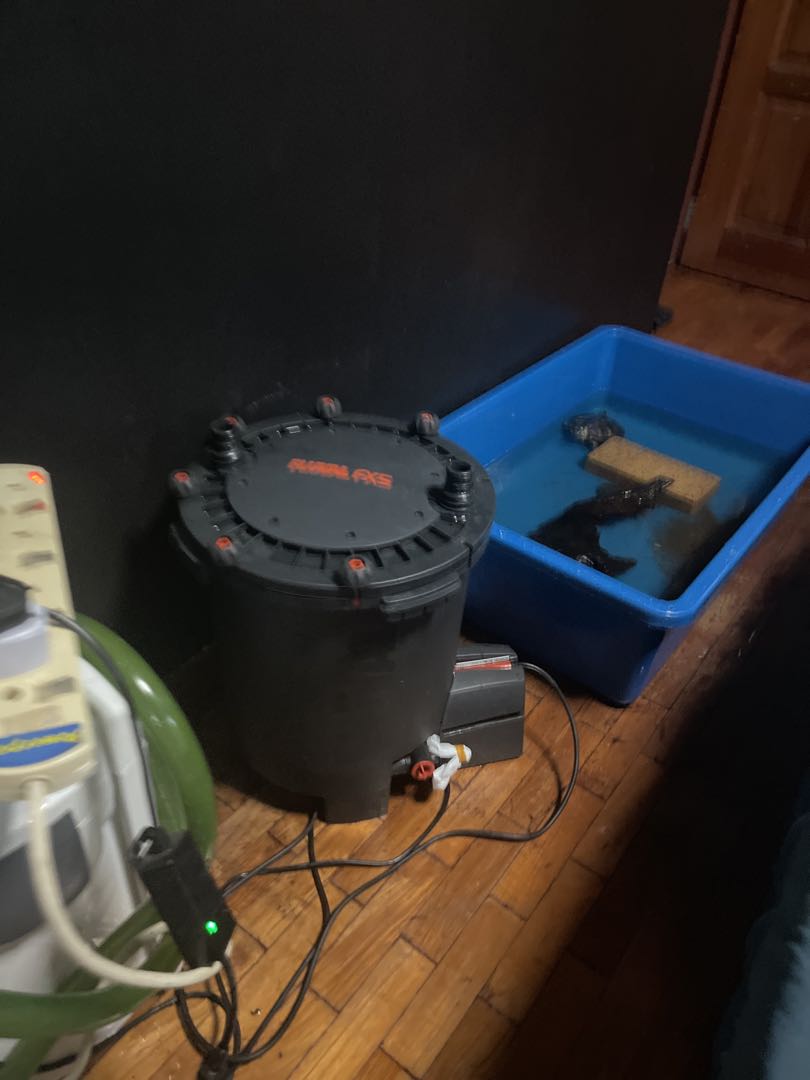 Fluval fx5 canister filter , Pet Supplies, Homes & Other Pet