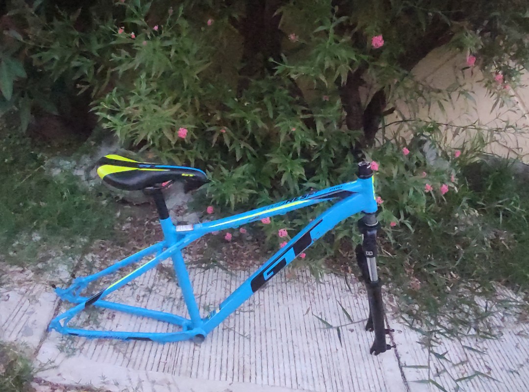 Gt aggressor hot sale pro frame