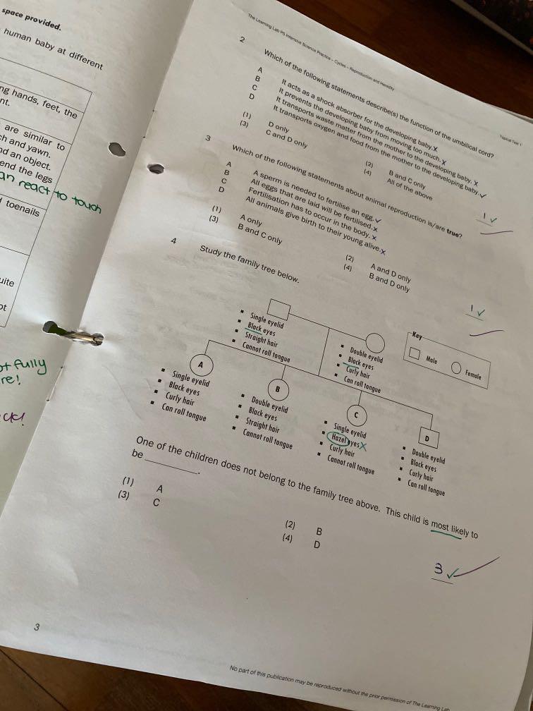 Learning lab p5 science notes and worksheets, Hobbies & Toys, Books & Magazines, Assessment