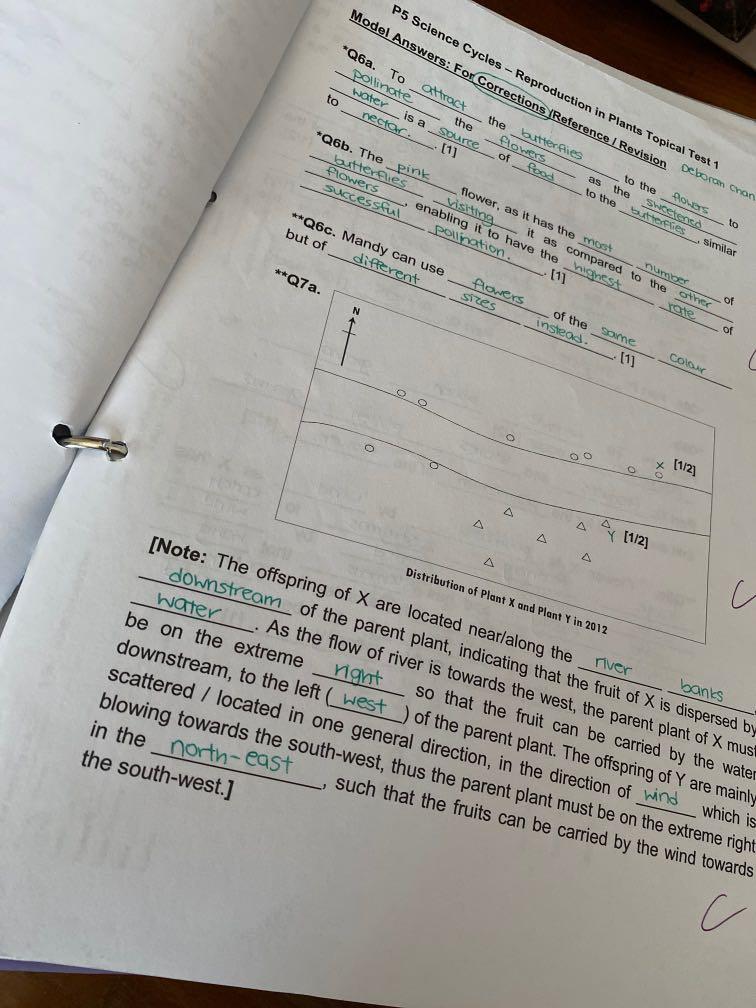 Learning lab p5 science notes and worksheets, Hobbies & Toys, Books & Magazines, Assessment