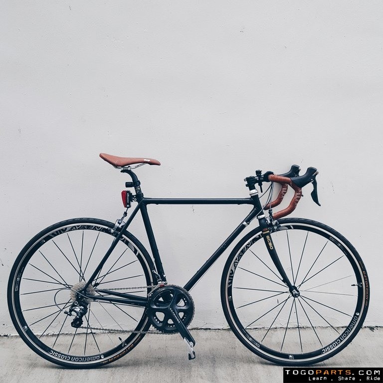 Steel bike online carbon fork