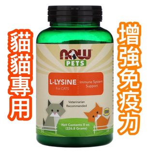 （分類：）位於 。 由 sososomui 提交（商品編號 1072296700，圖片 1）。簡介： 。