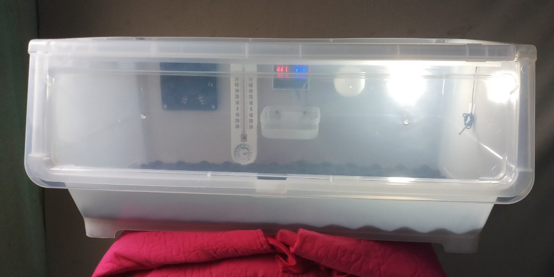 puppy incubator, Pet Supplies, Homes & Other Pet Accessories on Carousell