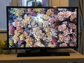 （分類：）位於 。 由 celsbels 提交（商品編號 1072202283，圖片 1）。簡介： 。