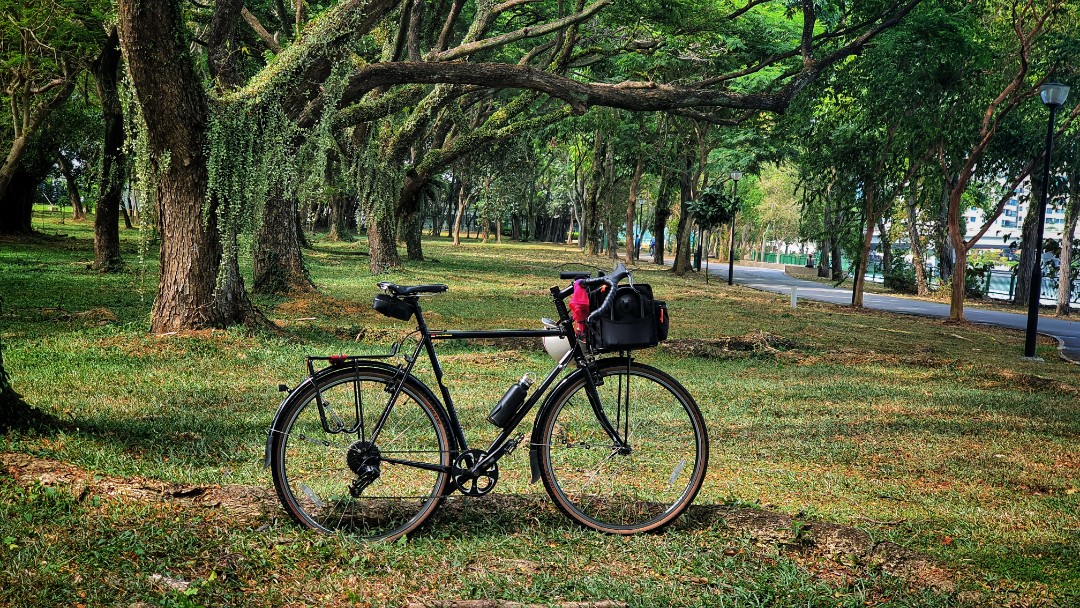 Surly cross sales check 58