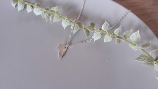 (Category: ) located in . Submitted by happy.like.bird (Listing ID 1072231057, Image 1). Description: .