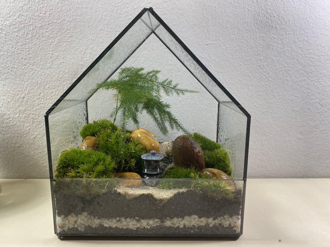 Terrarium (open) Japanese Bamboo garden, Furniture & Home Living