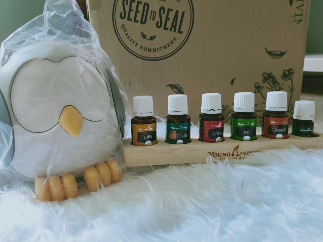 YOUNG LIVING OWL DIFFUSER + 5 EO(15ML) + 1 EO(5ML), Beauty & Personal Care, Fragrance
