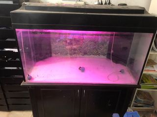 (Category: ) located in . Submitted by schezzuan (Listing ID 1067178451, Image 1). Description: .