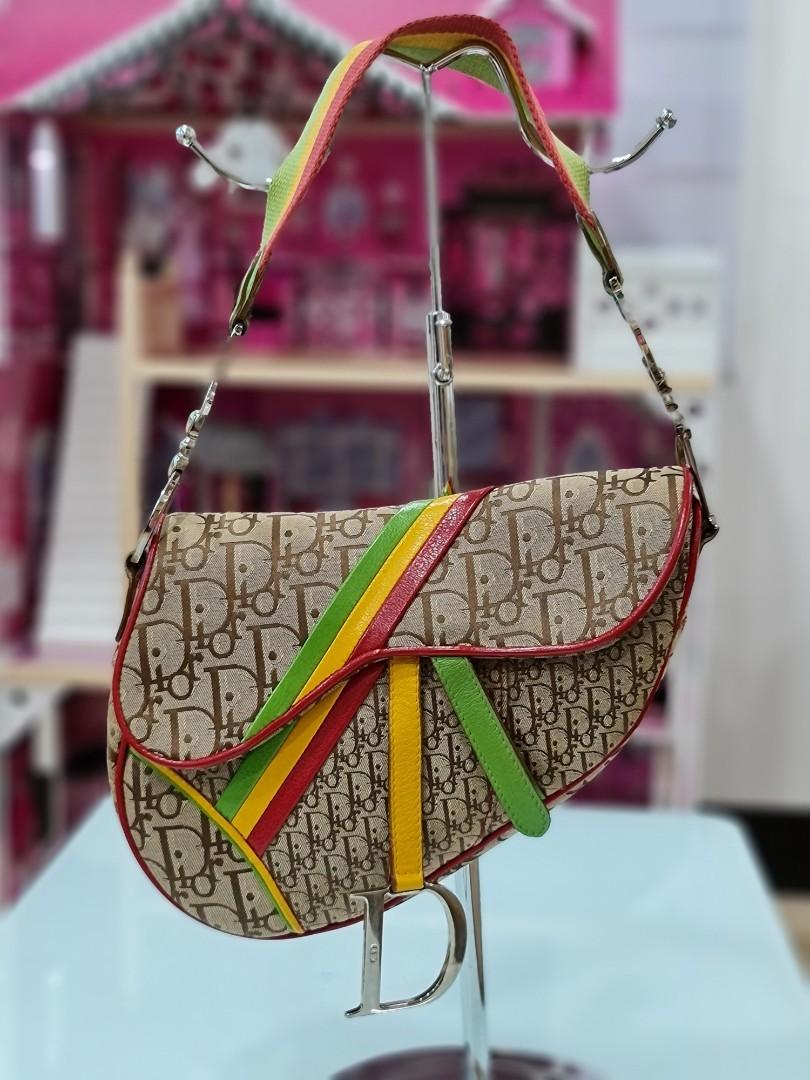 Dior rasta saddle 2025 bag