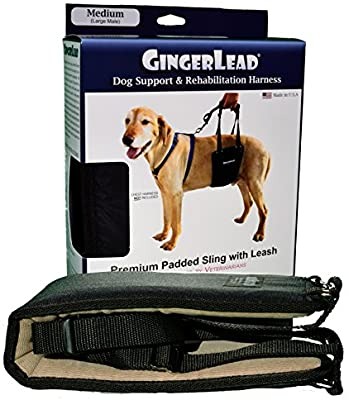 Gingerlead dog support harness Clearance