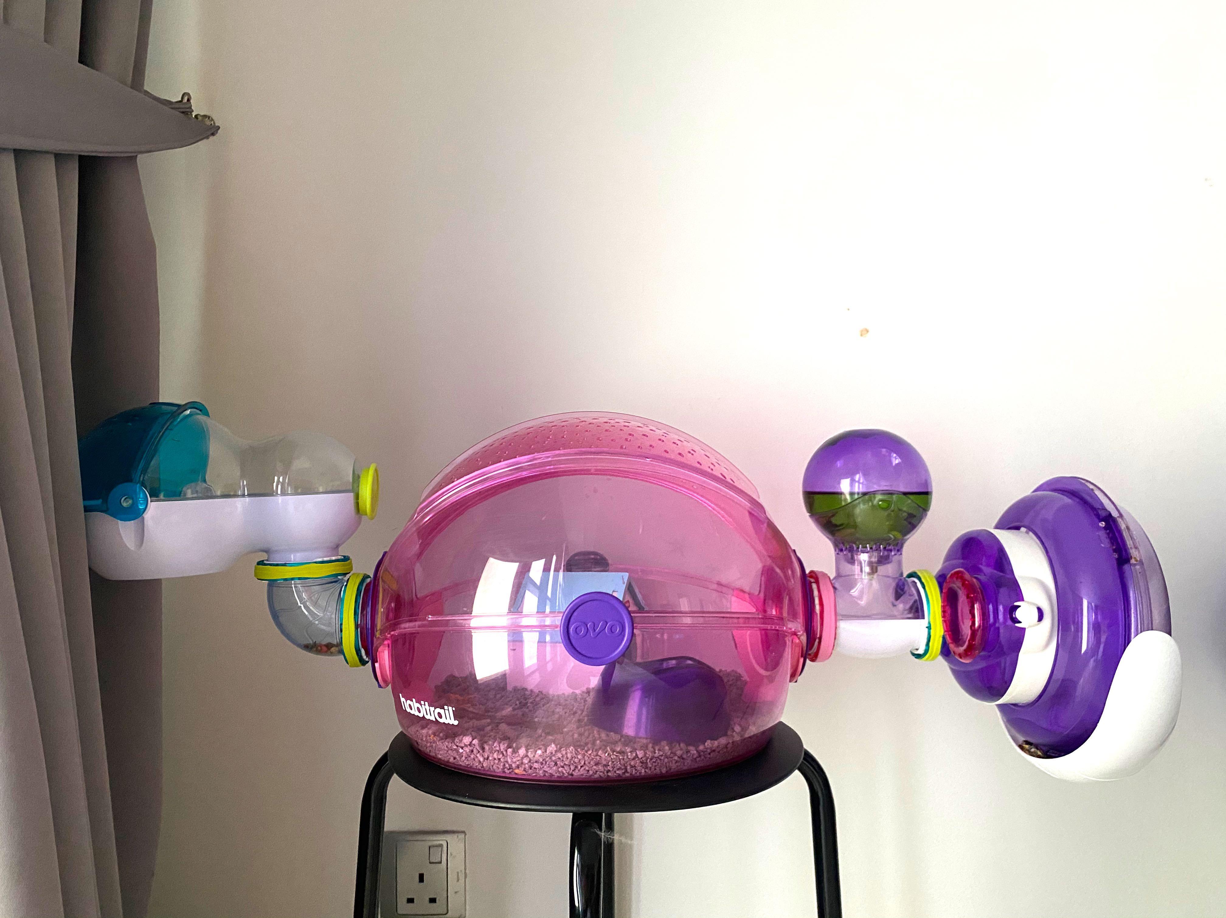 Habitrail ovo home pink edition online