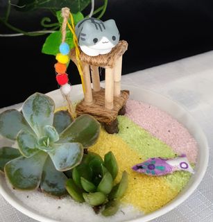 (Category: ) located in . Submitted by midori_botany (Listing ID 1067209953, Image 1). Description: .