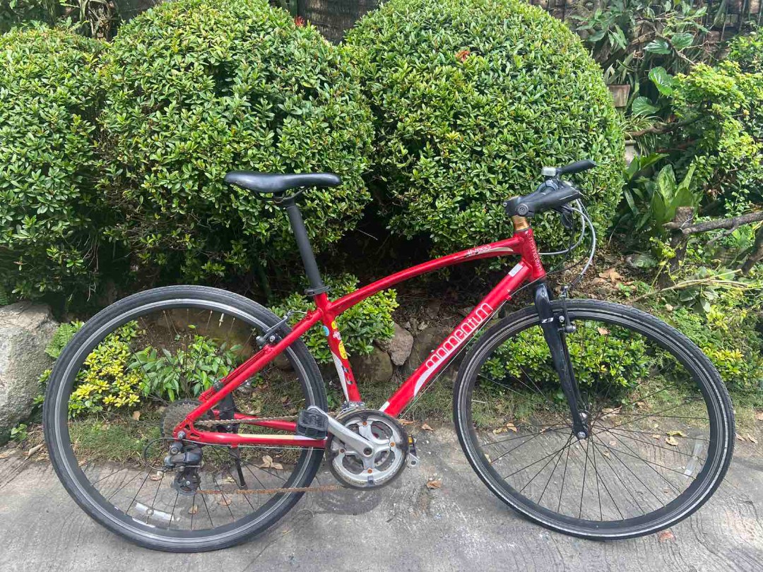 Giant discount momentum bike